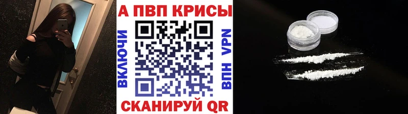 где купить наркоту  блэк спрут вход  Альфа ПВП крисы CK  Нерюнгри 