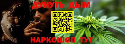 гидра Гусь-Хрустальный