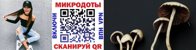 Галлюциногенные грибы Cubensis  Нерюнгри 