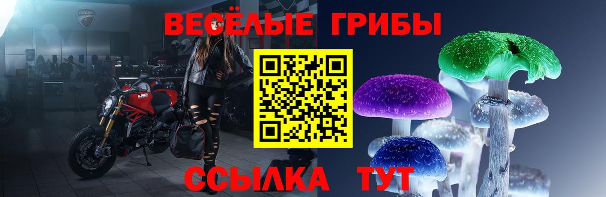 Псилоцибиновые грибы прущие грибы Нерюнгри
