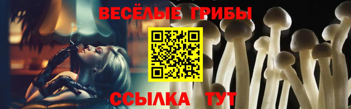 Галлюциногенные грибы Cubensis  Вход с VPN  наркотики  Нерюнгри  Галлюциногенные грибы ЛСД 